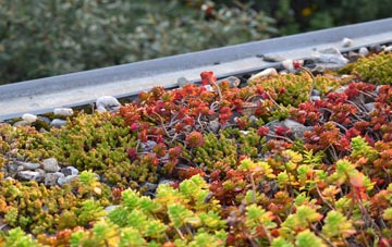 the cost of Pimhole green roof installation