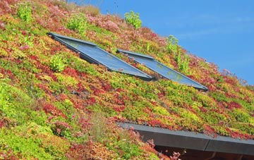 Pimhole living roof systems