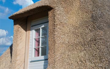 Pimhole thatch roof disadvantages